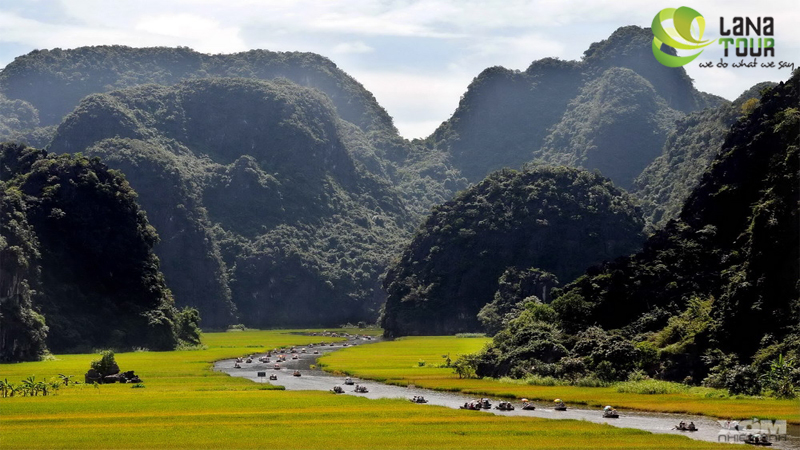 Viet Nam Panorama